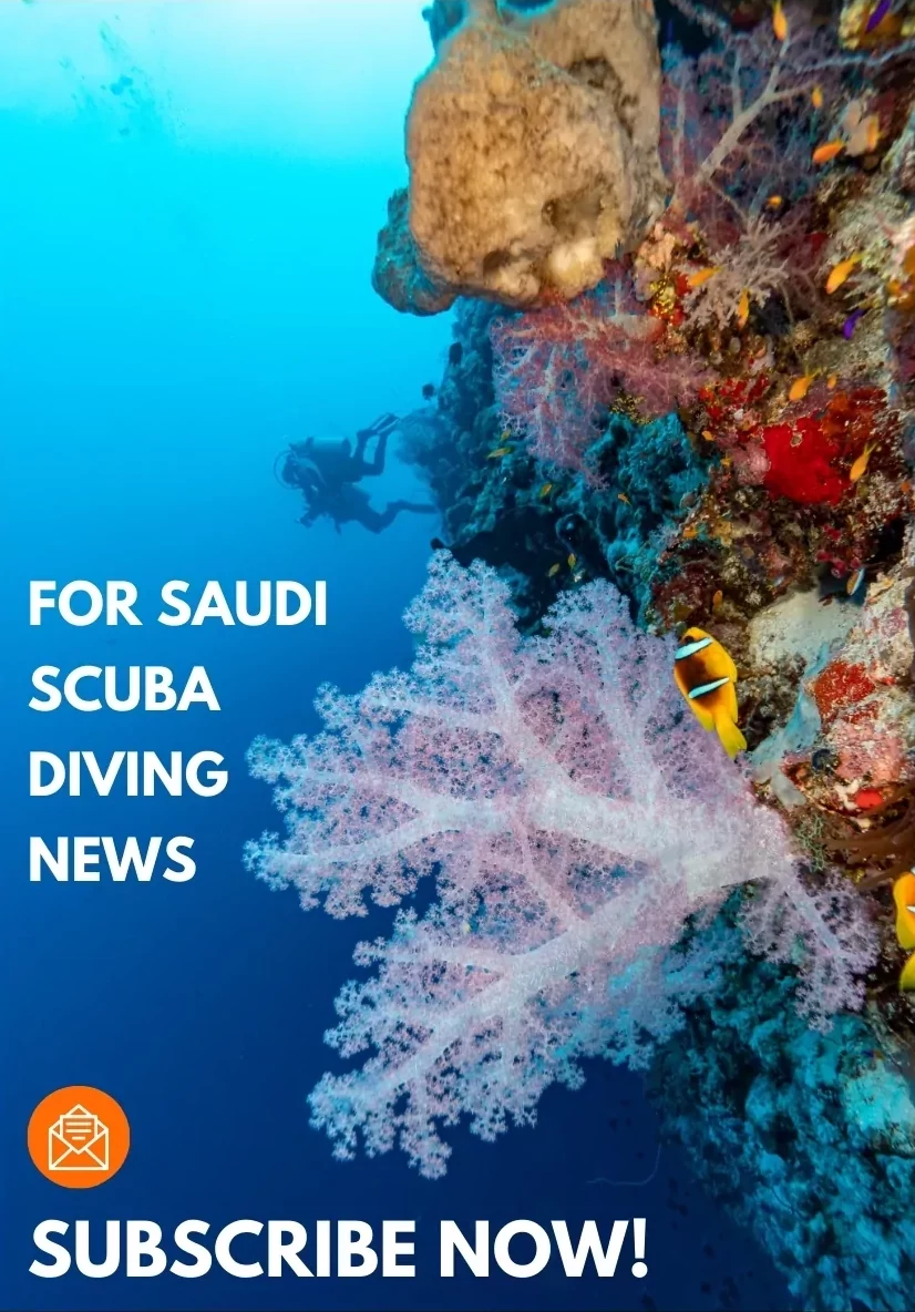 Newsletter Sign-up for Saudi Arabia  scuba diving with M/Y Andromeda