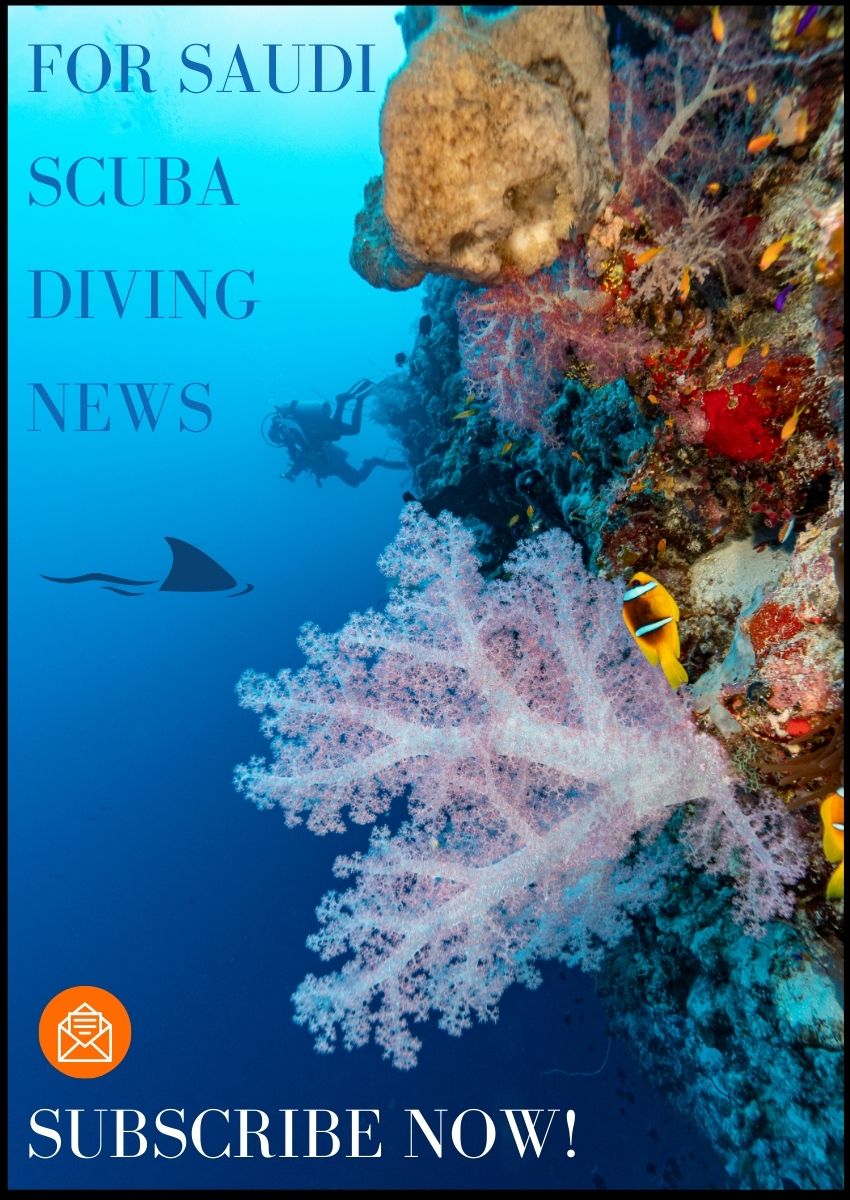 Newsletter Sign-up for Saudi Arabia  scuba diving with M/Y Andromeda